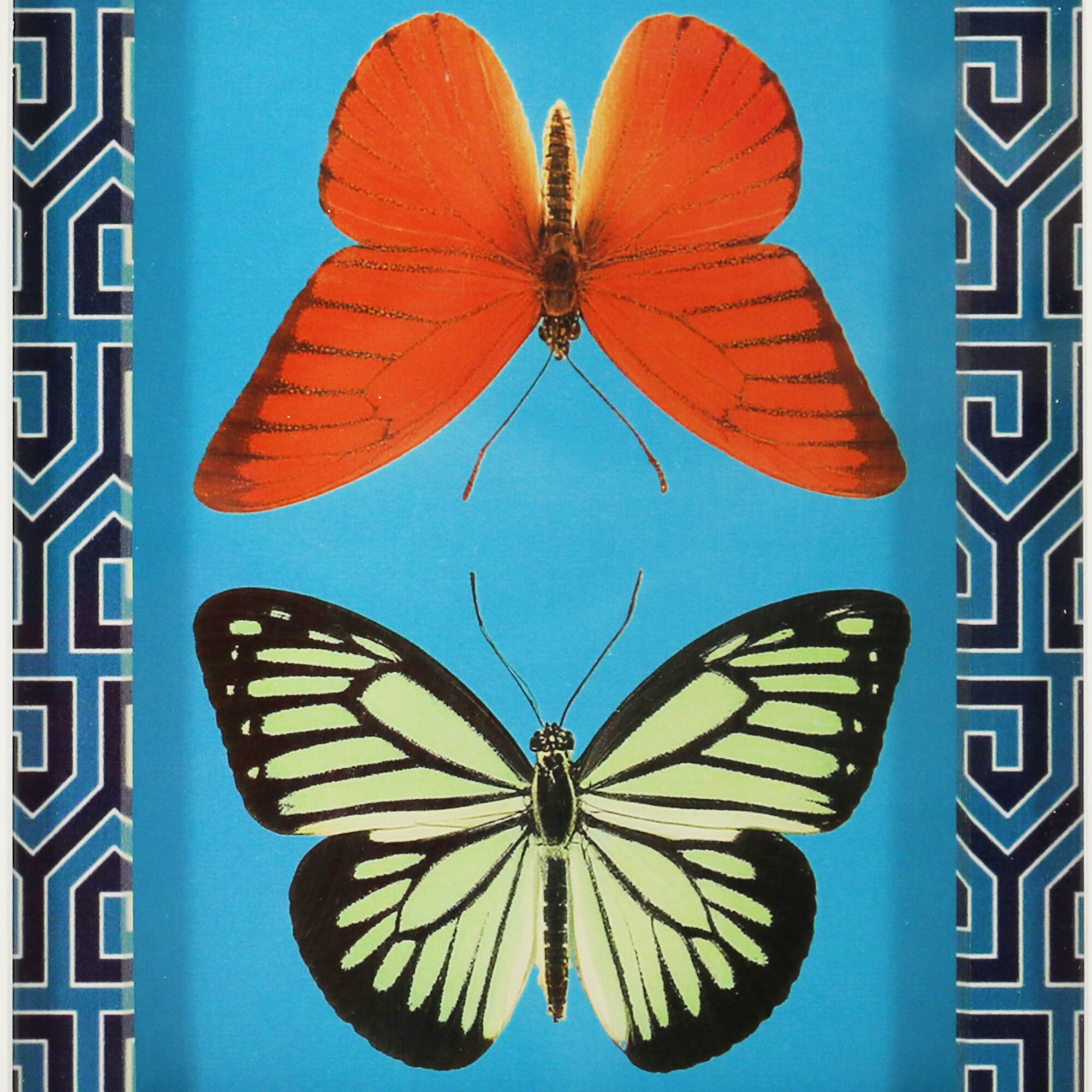 Jonathan Adler x Michaels 5.75" x 7.75" Orange & Yellow Butterfly Art